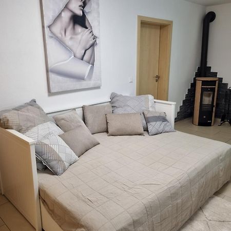 Appartment Im Untergeschoss Freilassing Eksteriør billede